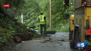 Tree falls across road in Northfield, VT
