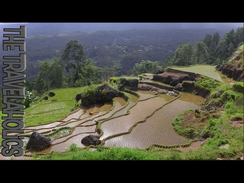 Video: De Hangende Graven Van Het Toraja - Matador Netwerk