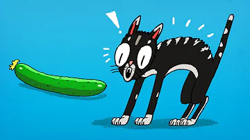¿Por qué los gatos odian los pepinos?