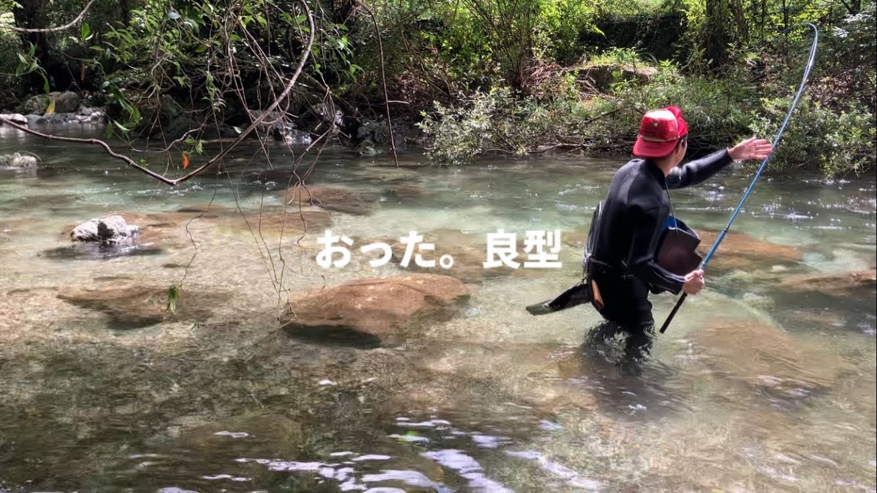 【鮎・アマゴ】本流茶濁の為小さな川に入って来ていると予想