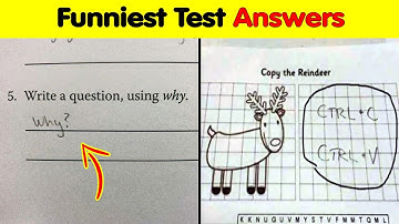 The Sassiest And Funniest Test Answers All Time 🤣