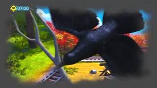 Rainbow Dashs Reaction Diesel Do Right