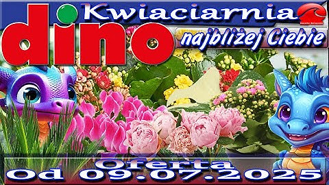 Dino Florist New Offer From 09.07.2025! Floral Inspirations and Cheap Flowers!