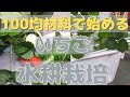１００均材料で作るいちごの水耕栽培