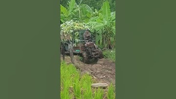 #shorts xe công nông 1 câu chở chuối