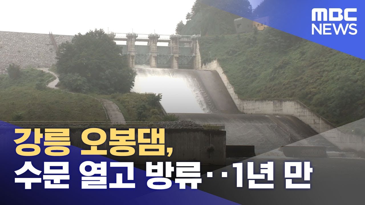 강릉 오봉댐, 수문 열고 방류‥1년 만 (2025.10.13/뉴스투데이/MBC)
