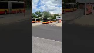 Man Lion's City NG363 na linii 409, do Cm. Północnego Bramy Zach.