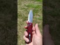 Kizer Azo Drop Bear Wood handle #knifecommunity #edc #edcorganizer #edcknife #outdoors #kizerknives