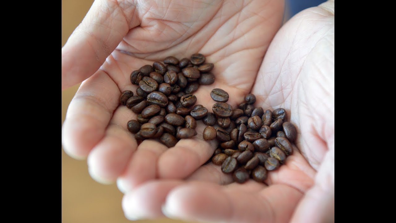 GOODWORKS Coffee House opens in downtown Chicopee YouTube