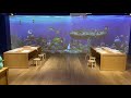 Galeries lafayette aquarium interactif  ns digital consulting