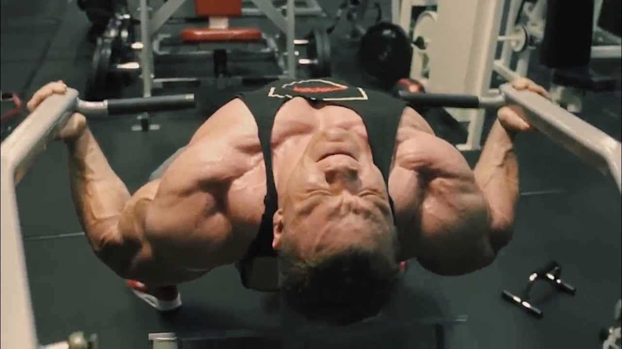 Видео для просмотра в те дни, когда хочется расслабиться [80% roar ver.]