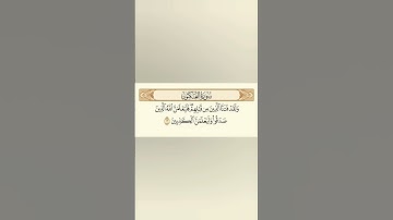 سورة العنكبوت .. عبد الرحمن مسعد أجر لي ولكم 🤍🤲🏻