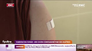 Variole du singe : un chien contaminé par ses maîtres