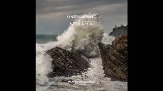 OneRepublic - Wild Life  Lyrics Resimi