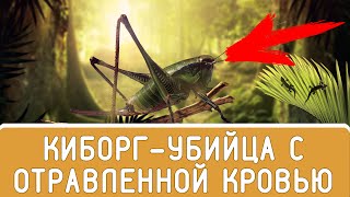 БРОНИРОВАННЫЙ КУЗНЕЧИК: АДСКИЕ ЖИВОТНЫЕ АФРИКИ. КИБОРГ-УБИЙЦА С ОТРАВЛЕННОЙ КРОВЬЮ! 🦗