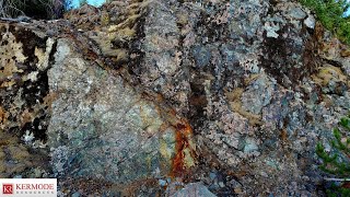 Massive Chalcopyrite In Shears & Lenses Along Logging Road! (STAR OF THE WEST) $KLM