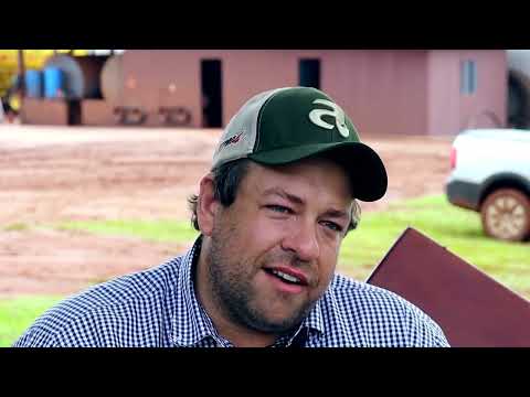 Lançamento Mais Milho | Na fazenda Barra Bonita em MS, família espera 120 sacas/ha | Canal Rural