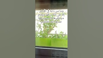 قرآن كريم #سورة-هود #الآية 6 #المرحوم  #الشيخ_عبدالباسط_عبدالصمد