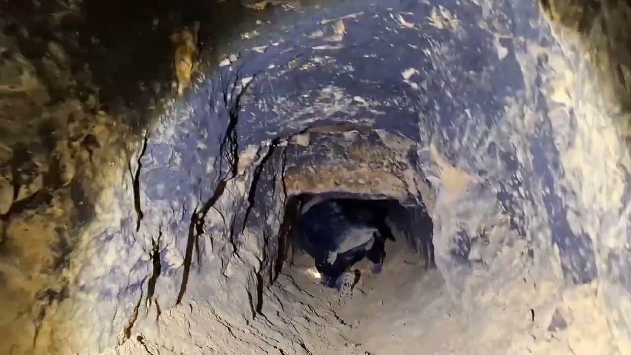 3 GUYS CHECKING OUT A ABANDONED MINE #cave #explore #nature 