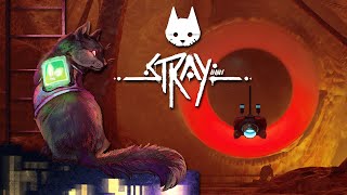 My Worst Nightmares, Alive After All  Stray • #11