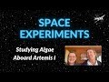 Exploring Green Algae and Space Research