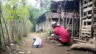 ngumbolne balon cilik lucu mbok-mbok en ra gelem ngadoh karo sing ndue