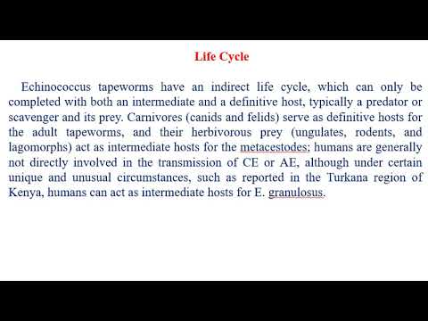 Video: Echinococcosis - Diagnose, Symptomer, Behandling Av Sykdommen