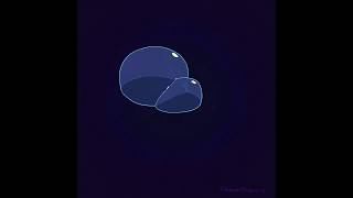 2D FX Animation; Bubbilicious