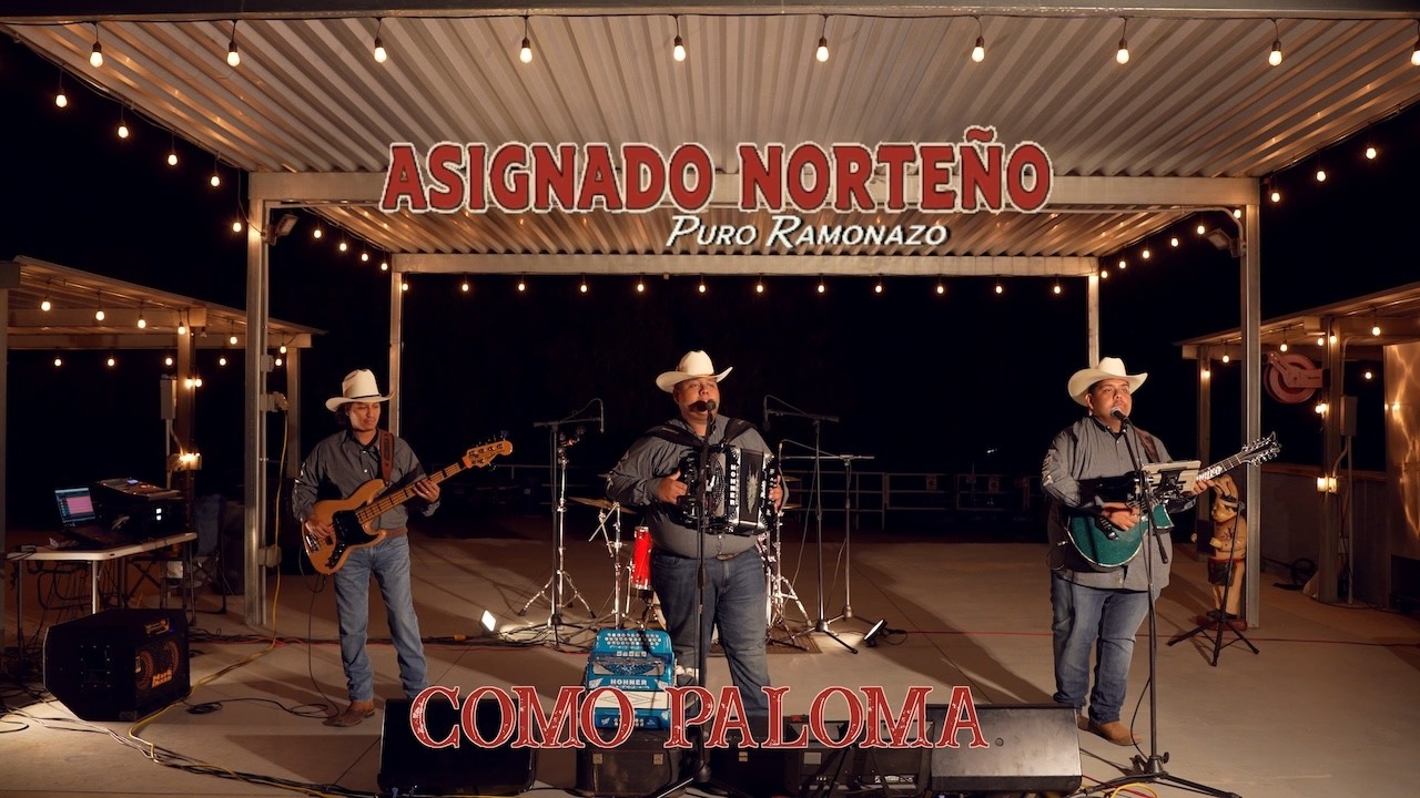 Asignado Norteño - Como Paloma (Video Official)