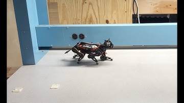 Nybble | Unleashing Raw Speed Without Self-Balancing | PetoiCamp