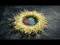 Redefining the Strong Interaction, Spacetime Curvature through Scale-Invariant Logarithmic Geometry