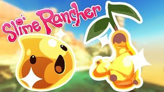 Welcome back to the slime rancher! in today's video, we look at some
of new slimes from desert update! ► watch entire rancher series ...