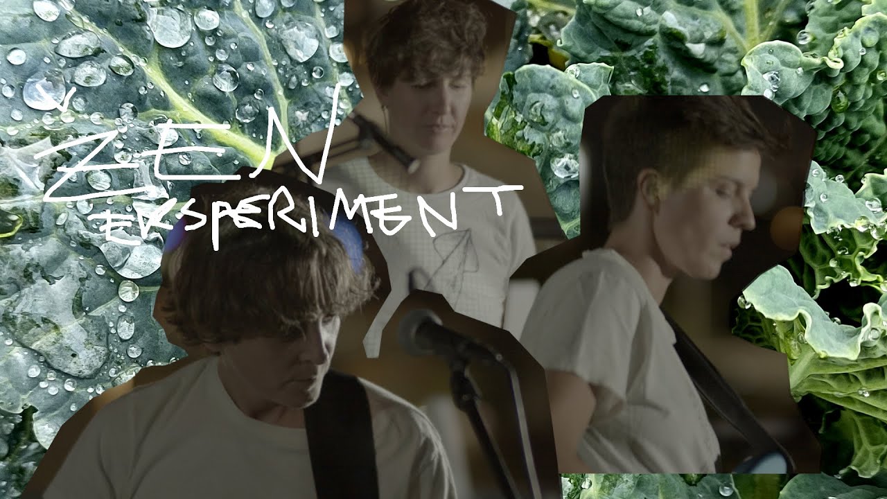 Eksperiment #9 : ŽEN