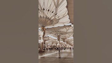 سورة الفتح {الآية 29} بصوت الشيخ ياسر الدوسري ❤️❤️