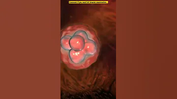 Pregnancy And Embryonic Development Class 12 Biology Concepts Human Reproduction NEET 2023 