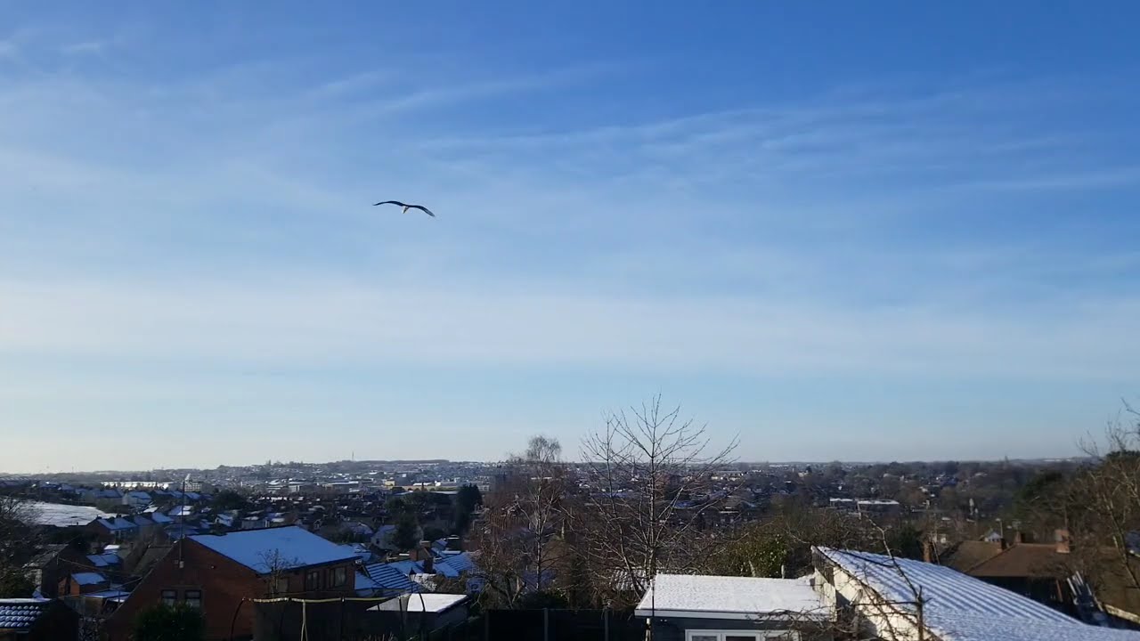 2026/01/10 time lapse video