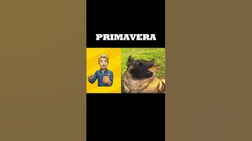 métete a ver el vídeo YA! 🤠 #desarrollodevideojuegos #godot  #gamedev #gamedevelopment #unity