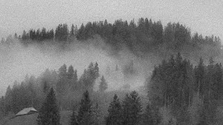 Lebensangst - Zuflucht