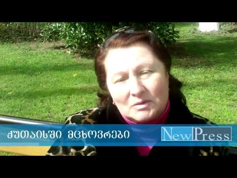 ქუთაისელები პარლამენტში დეპუტატების  დაპირისპირებაზე