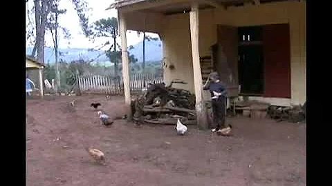 Como vivem os faxinalenses?