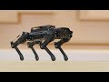 Hiwonder PuppyPi Quadruped Robot with AI Vision Powered by Raspberry Pi ROS Open Source Robot Dog