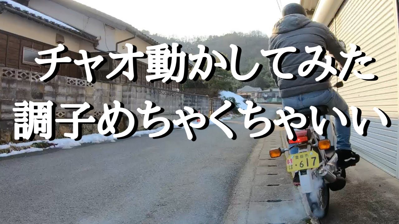 春が来たのでチャオ動かしてみたら調子めちゃくちゃ良かった#チャオ