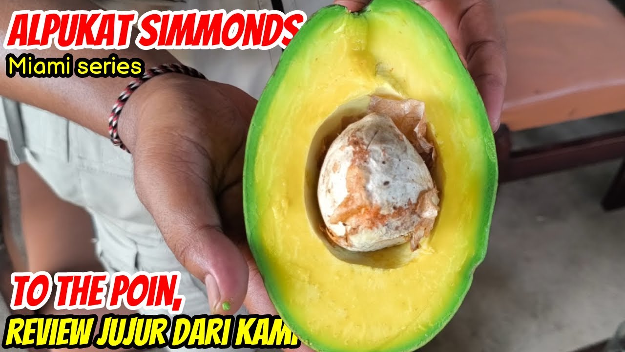Owhh Seperti Ini Rasa Alpukat SIMMONDS., Enak sih tapi kok ...?
