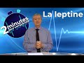 La leptine  2 minutes pour comprendre