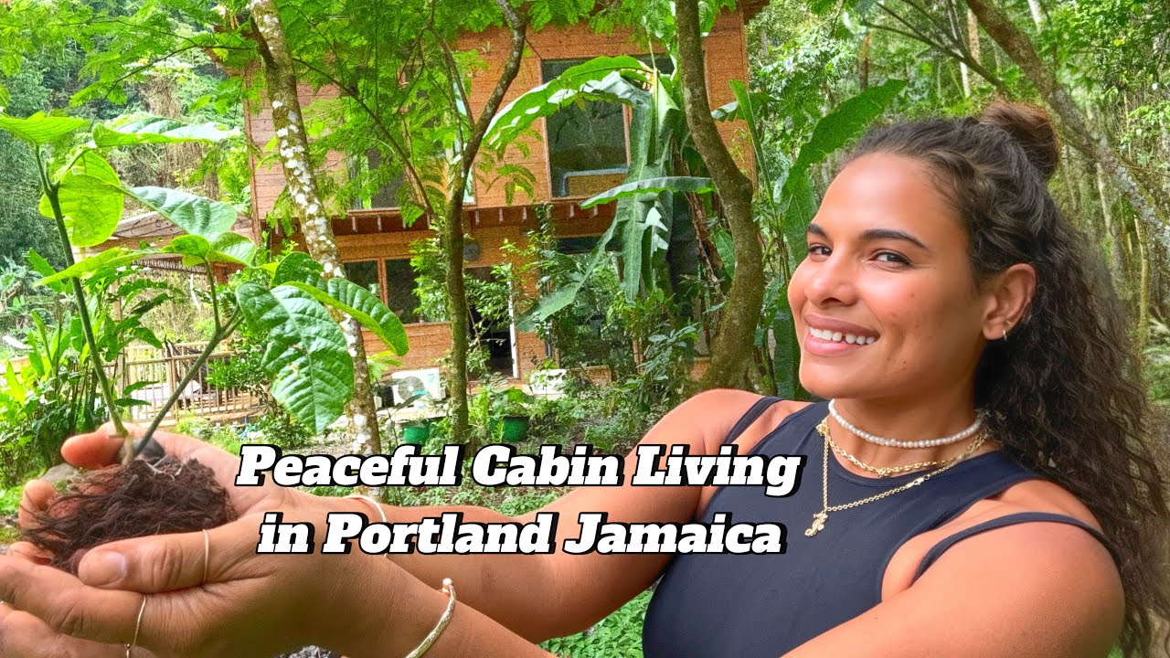 Peaceful Cabin living in Portland Jamaica 🇯🇲 ASMR