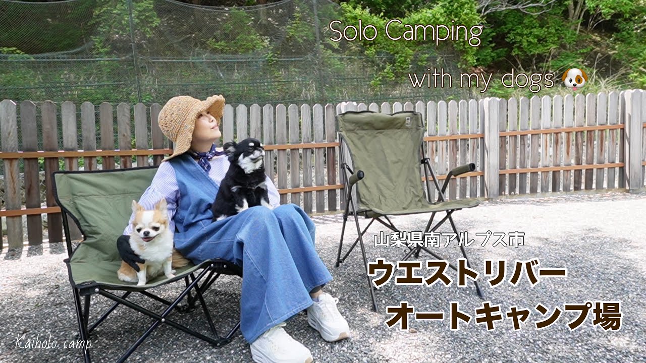 【50代女子？ソロキャンプ】なぜ今まで行かなかったの?美しいキャンプ場のドッグフリーサイト前編｜ウエストリバーキャンプ場｜Solo camping with my dogs. Vlog［66］
