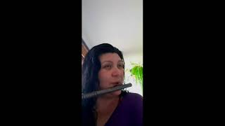 Vivaldi G minor - Allegro moderato #studying #classical #flutist #music #jazzsongwriter #worldmusic