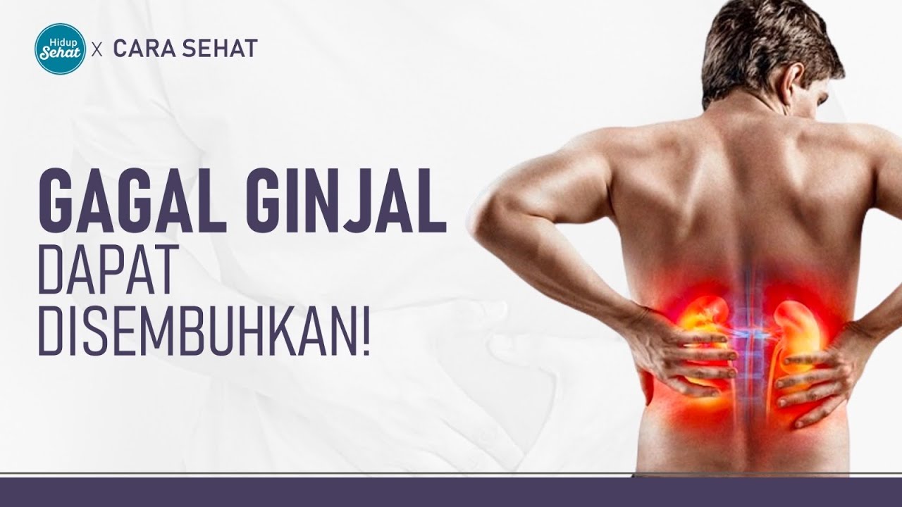 Jangan Khawatir! Gagal Ginjal Bisa Disembuhkan Dengan Cara Ini | Hidup Sehat tvOne