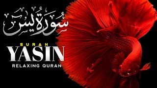 Surah Yasin (سوره یاسین ) | Salim Bahanan | Beautiful Recitation | akhtiar_s99