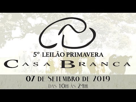 Lote 402 (CABR Piracaia 2619 - CABR 2619)